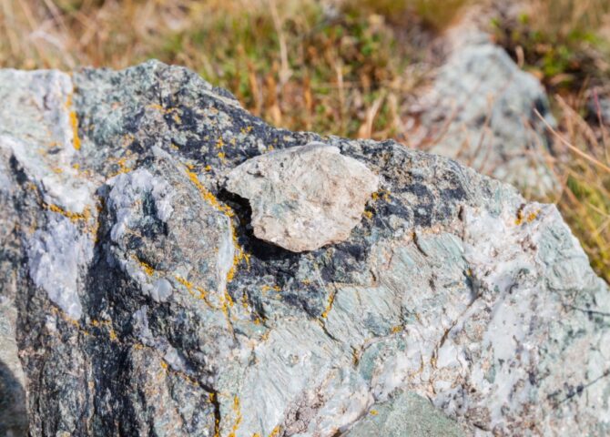 Top Signs Your Property May Have Asbestos and What to Do Next