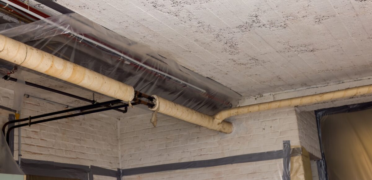 Asbestos Removal vs Management: Which Option Is Right for Your Property?