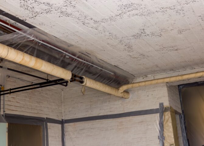 Asbestos Removal vs Management: Which Option Is Right for Your Property?