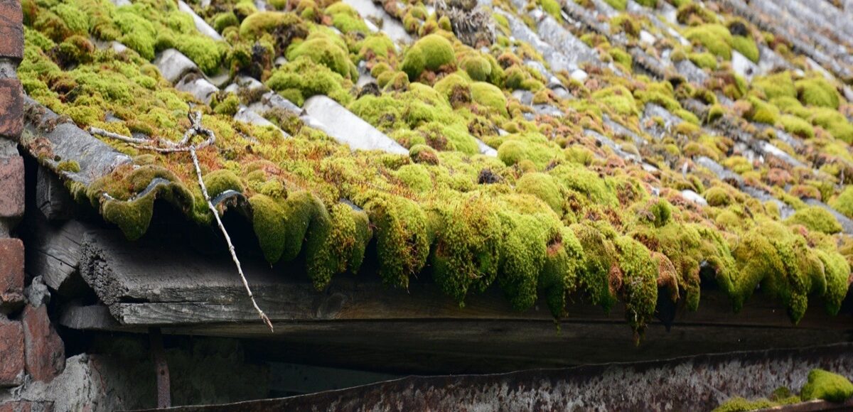 Asbestos in Garages and Outbuildings: A Common Hidden Risk