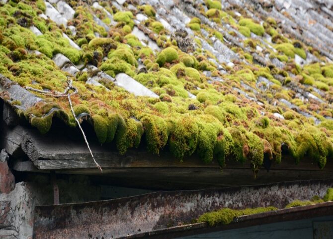 Asbestos in Garages and Outbuildings: A Common Hidden Risk