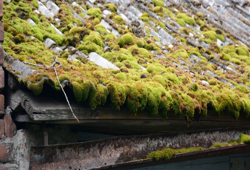 Asbestos in Garages and Outbuildings: A Common Hidden Risk