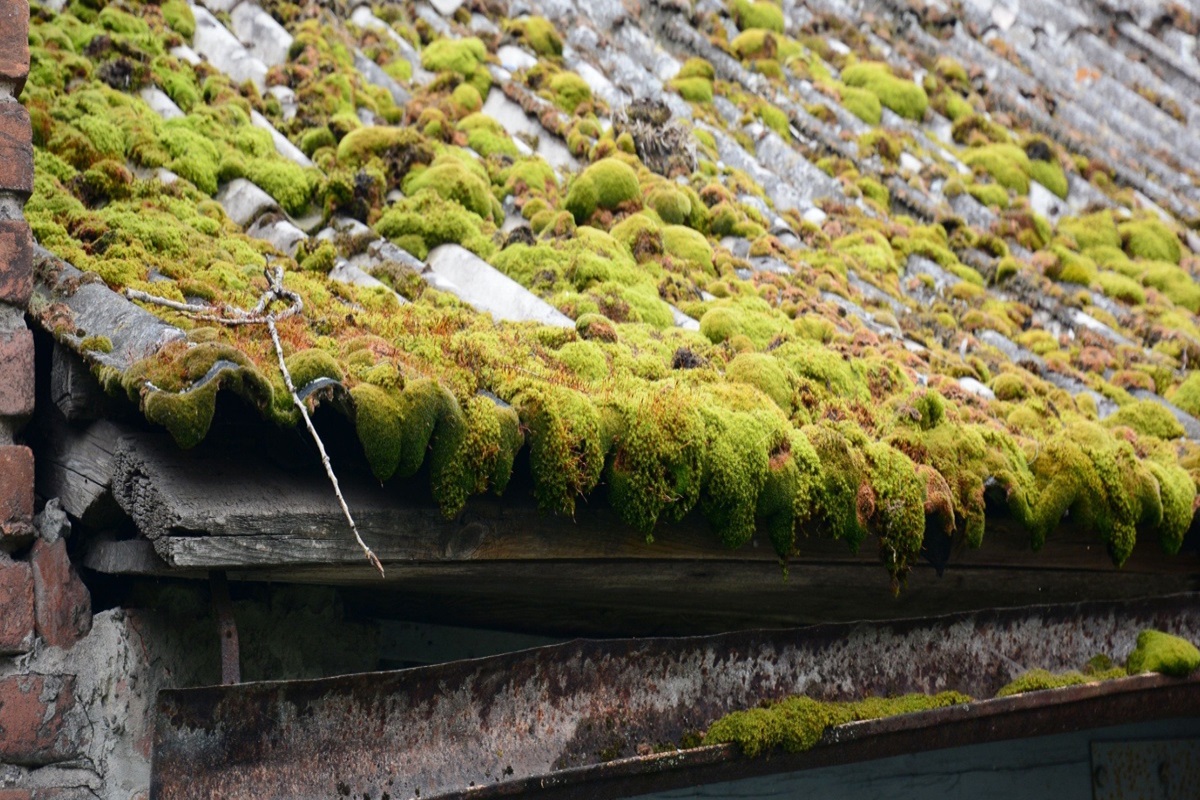 Asbestos in Garages and Outbuildings A Common Hidden Risk