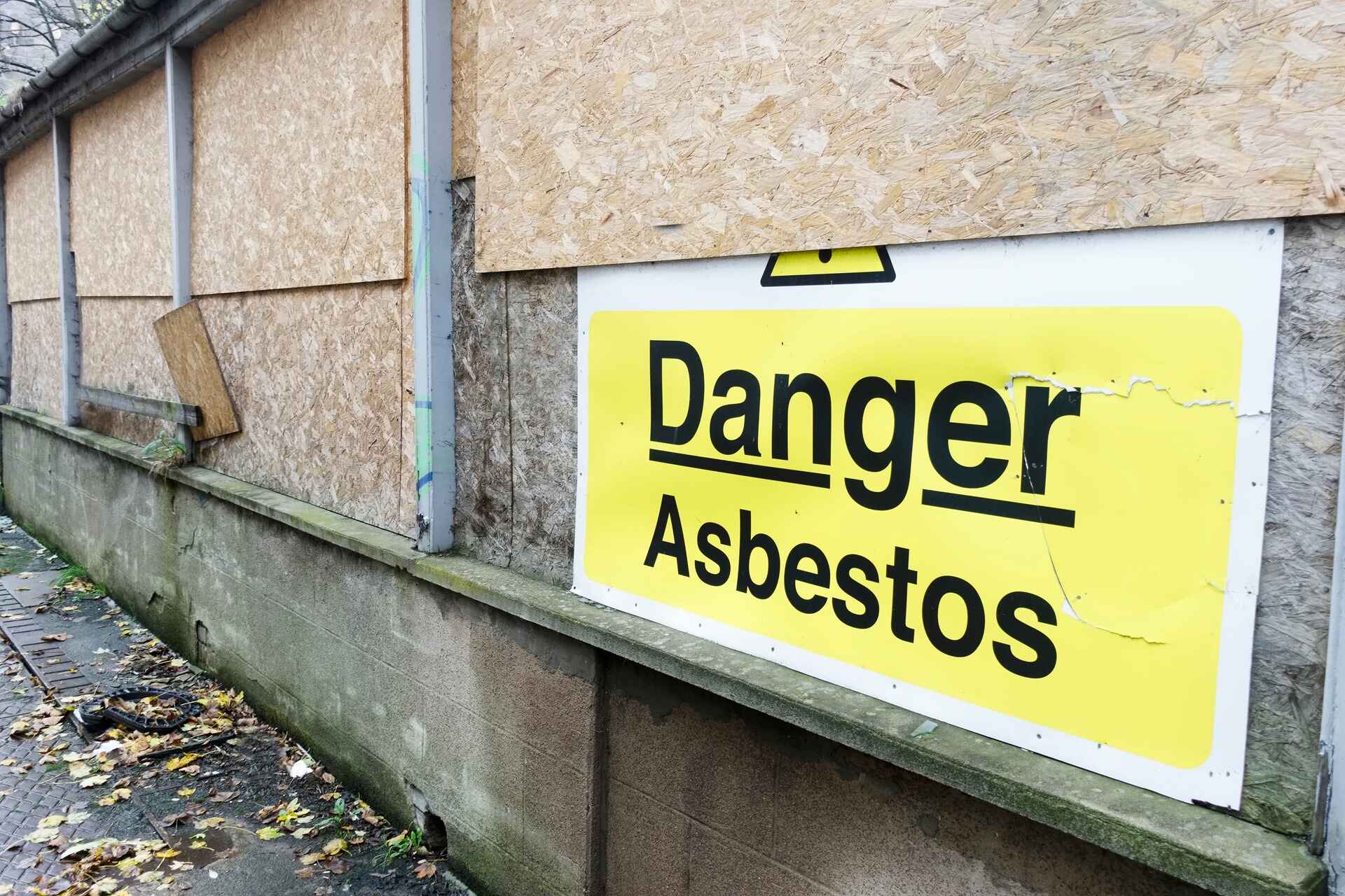 Home 26 What Qualifications Should Your Asbestos Surveyor Have